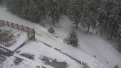 Přístup na běžeckou trať