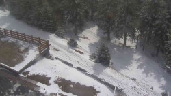 Přístup na běžeckou trať