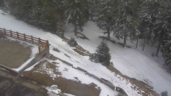 Přístup na běžeckou trať