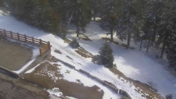 Přístup na běžeckou trať