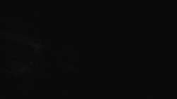 Přístup na běžeckou trať