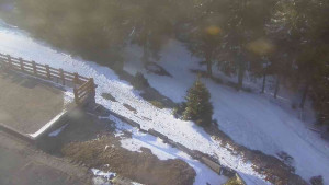 Sporthotel Kurzovní - Přístup na běžeckou trať - 22.3.2026 v 07:05 Sporthotel Kurzovní - Přístup na běžeckou trať - 22.3.2026 v 07:05