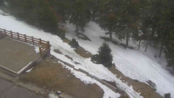 Přístup na běžeckou trať