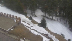 Přístup na běžeckou trať