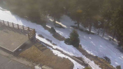 Přístup na běžeckou trať