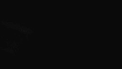 Přístup na běžeckou trať