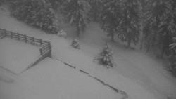 Přístup na běžeckou trať