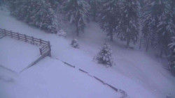 Přístup na běžeckou trať