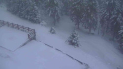 Přístup na běžeckou trať