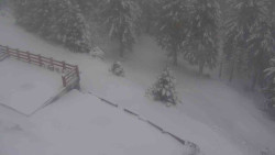 Přístup na běžeckou trať