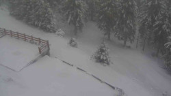 Přístup na běžeckou trať