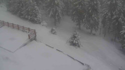 Přístup na běžeckou trať