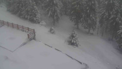 Přístup na běžeckou trať