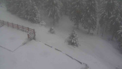 Přístup na běžeckou trať