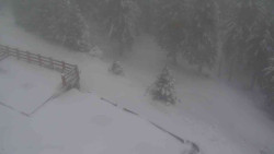 Přístup na běžeckou trať