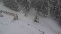 Přístup na běžeckou trať