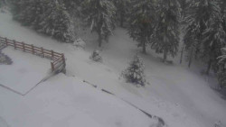 Přístup na běžeckou trať