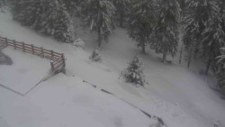 Přístup na běžeckou trať