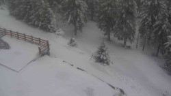 Přístup na běžeckou trať