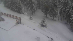 Přístup na běžeckou trať