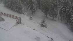 Přístup na běžeckou trať