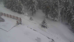 Přístup na běžeckou trať