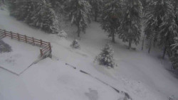 Přístup na běžeckou trať