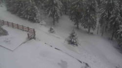 Přístup na běžeckou trať