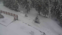 Přístup na běžeckou trať