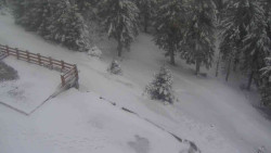 Přístup na běžeckou trať