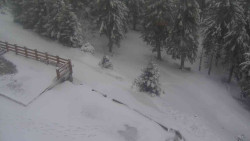 Přístup na běžeckou trať