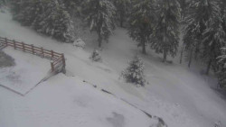 Přístup na běžeckou trať