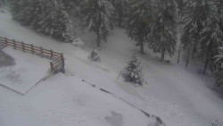 Přístup na běžeckou trať