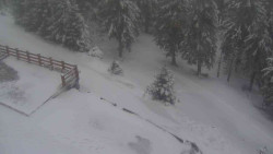 Přístup na běžeckou trať