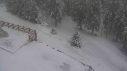 Přístup na běžeckou trať