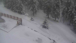 Přístup na běžeckou trať