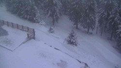 Přístup na běžeckou trať