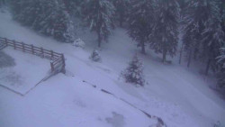 Přístup na běžeckou trať