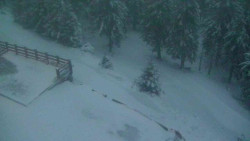 Přístup na běžeckou trať