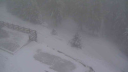 Přístup na běžeckou trať