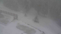 Přístup na běžeckou trať