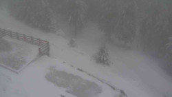 Přístup na běžeckou trať