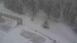 Přístup na běžeckou trať