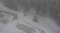 Přístup na běžeckou trať