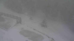 Přístup na běžeckou trať