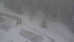 Přístup na běžeckou trať