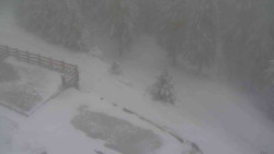 Přístup na běžeckou trať