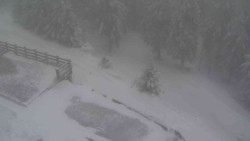 Přístup na běžeckou trať