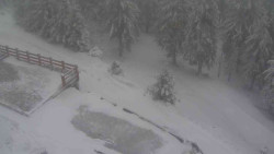 Přístup na běžeckou trať