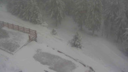 Přístup na běžeckou trať